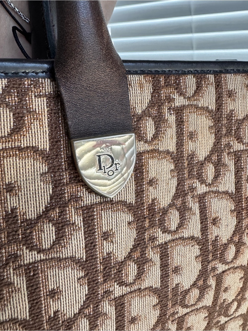 Authentic Dior Trotter Tote Bag - Picture 14 of 16